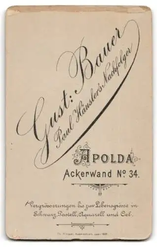 Fotografie Gust. Bauer, Apolda, Ackerwand No. 34, Portrait einer Dame mit hochgestecktem Haar und elegantem Kleid