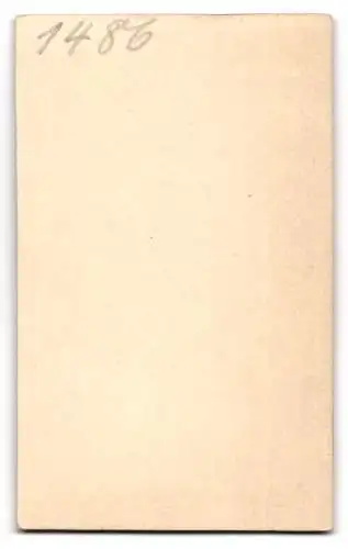 Fotografie Hofmann & Co., Frankfurt a/M., Zeil 54, Kleiner Junge mit Reif