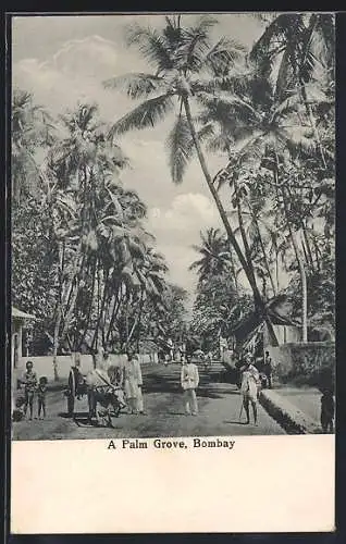 AK Bombay, Palm Grove