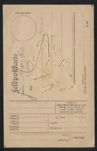 Trockenblumen-AK Getrocknete Vergissmeinnicht-Blüten auf einem Blatt, Pfingstgruss aus dem Felde