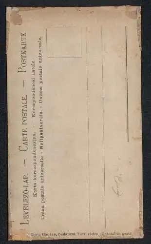 Trockenblumen-AK Engel mit Tannenzweig aus getrocknetem Moos