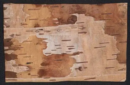 Holz-AK Feldpostkarte aus Birkenrinde