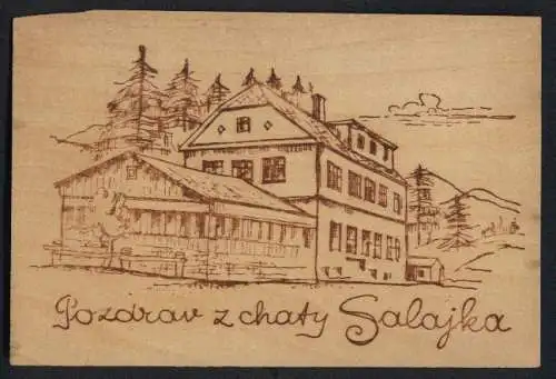 Holz-AK Salajka, Hotel mit Berglandschaft