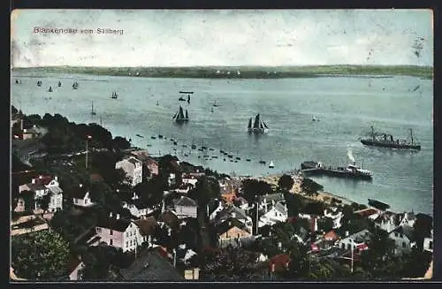 AK Hamburg-Blankenese, Aussicht vom Süllberg mit Dampfern