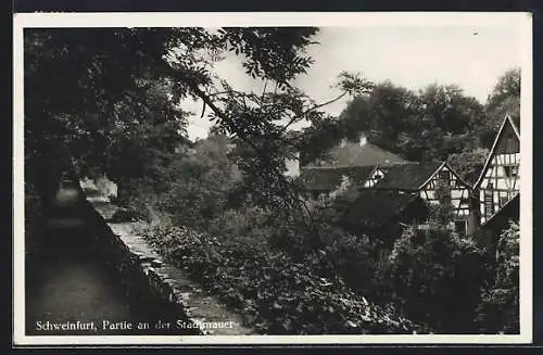 AK Schweinfurt, Partie an der Stadtmauer