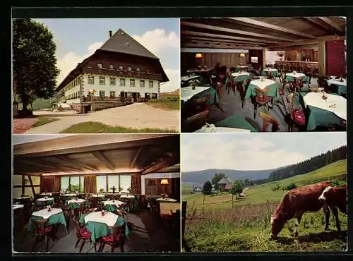 AK Waldau / Schwarzwald, Schwarzwald-Gasthof Traube, Kuh