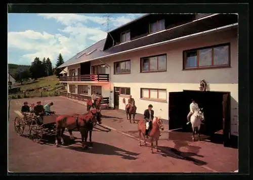 AK Schluchsee-Hinterhäuser, Park-Hotel F. Schaar KG, mit Reitern u. Kutsche