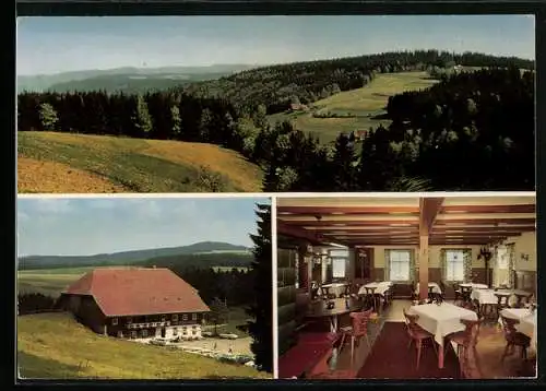 AK Breitnau /Schwarzwald, Gasthaus zum Kreuz v. E. Schwer, Blick ins Gebirge