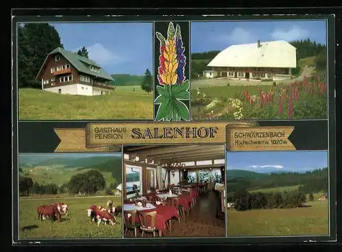 AK Schwärzenbach /Schwarzwald, Gasthaus-Pension Salenhof Fam. Kleiser