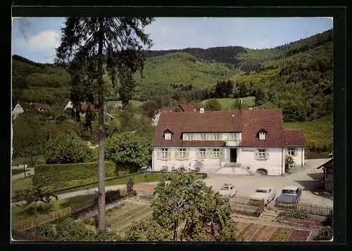 AK Sehringen /Badenweiler, Gasthaus zum grünen Baum A. Triller aus der Vogelschau