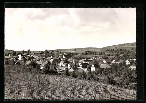 AK Leiselheim a. Kaiserstuhl, Ortsansicht mit Rebstöcken