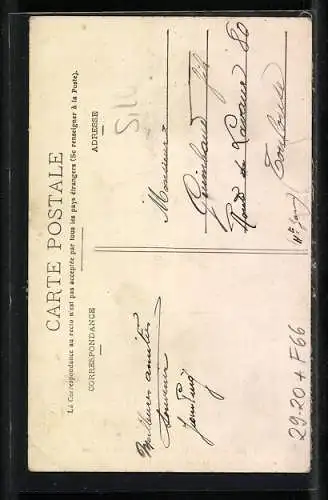 Seiden-AK Perpignan, Promenade des Platanes