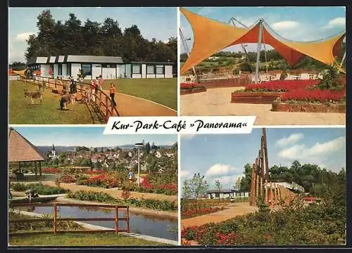 AK Nümbrecht, Kur-Park-Café Panorama, Bes. Helmut und Grete Hannes, Weide mit Eseln