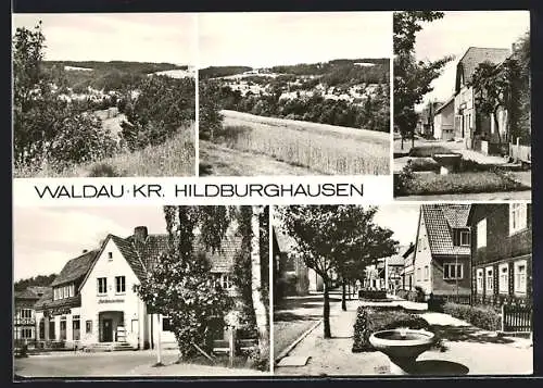 AK Waldau /Kr. Hildburghausen, Blick auf die Ortschaft, Strassenpartie mit Brunnen