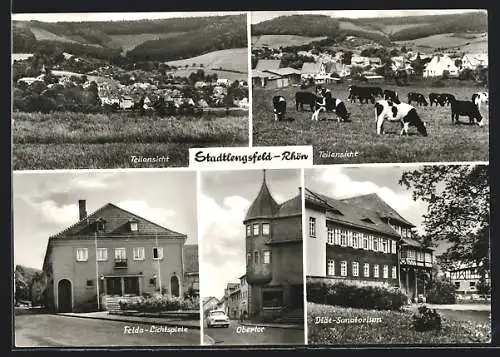 AK Stadtlengsfeld-Rhön, Felda-Lichtspiele, Obertor, Diät-Sanatorium, weidende Kühe