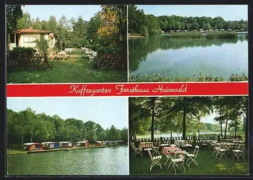 AK Lehrte, Kaffeegarten, Campingplatz und Forsthaus Hainwald