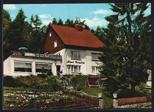 AK Altenau /Oberharz, Privatpension Haus Brigitte v. d. Eheleuten Stegemann