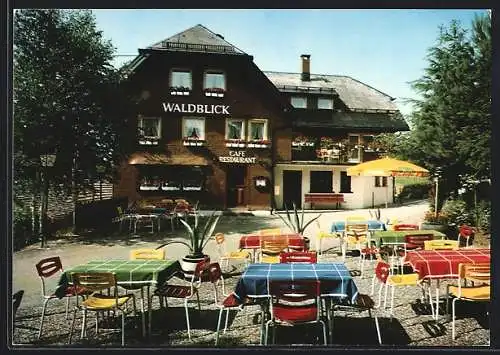 AK Todtnauberg /Hochschwarzwald, Café-Restaurant Waldblick der Eheleute Aichner, Terrasse