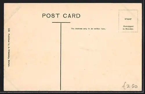 AK Durban, Tramway on West Street, looking West