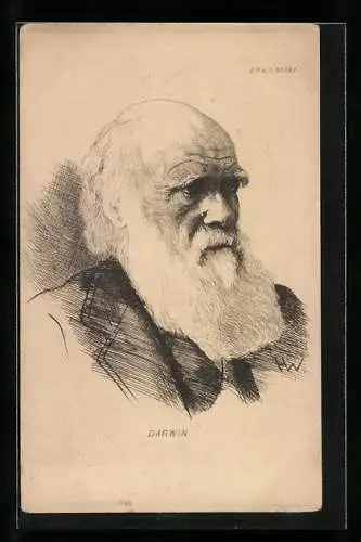 AK Portrait von Darwin mit weissem Vollbart