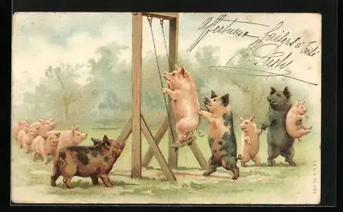 Lithographie Schwein auf Schaukel