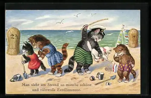 AK Das Katzenkind war unartig am Strand, vermenschlichte Tiere