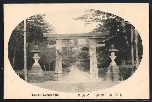 AK Nara, Torii of Kasuga