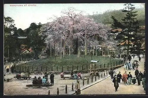 AK Kyoto, Maruyama at Kyoto