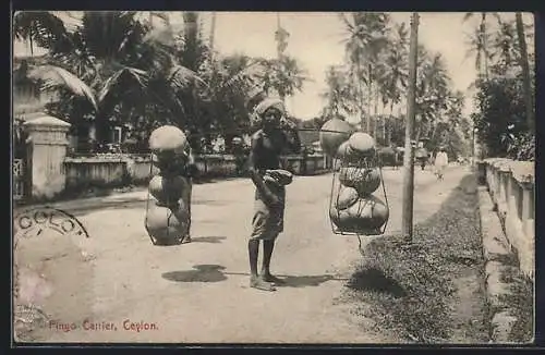 AK Ceylon / Sri Lanka, Pingo Carrier, Singhalesischer Träger