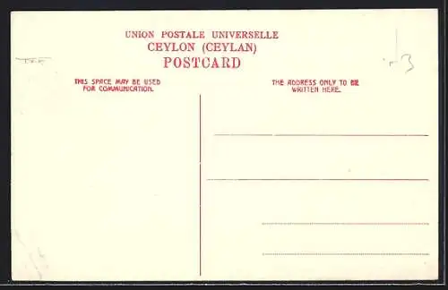 AK Colombo, Pettah Street, Strassenpartie mit Bullengespann