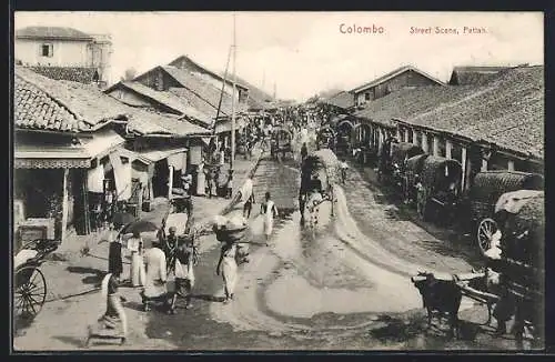 AK Colombo, Street Scene, Pettah, Rikschas, Ochsengespann