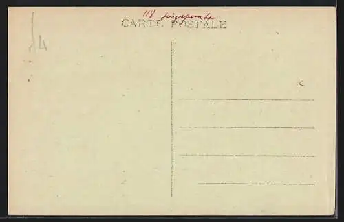 AK Singapur, Strassenpartie, Einheimische mit Ochsengespann