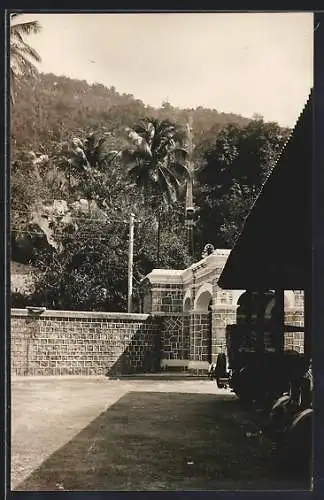 AK Singapur, Blick auf den Wald mit Bergbahn