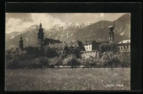 Foto-AK A. Stockhammer: Hall, Ortsansicht