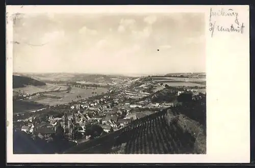 AK Naumburg a. S., Blick vom Edelacker auf die Stadt