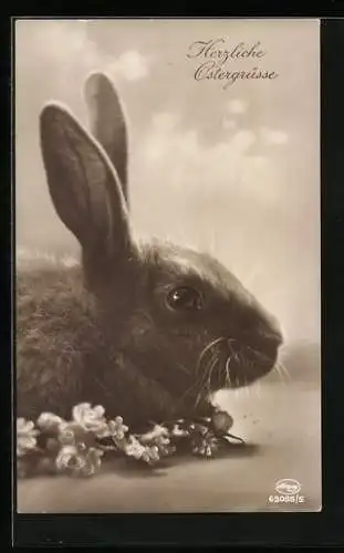 AK Ein Osterhase mit blühendem Zweig