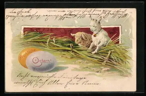 AK Fröhliche Ostern, Lamm und Zicklein finden bunte Ostereier