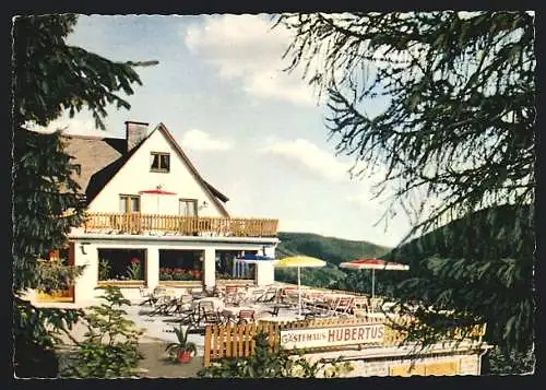 AK Schwalefeld-Willingen, Das Gasthaus Hubertus v. J. Ladwig, Terrassenansicht