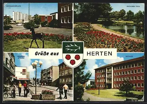 AK Herten / Westf., Rathausvorplatz, Backumer Teich, Hermann-Strasse, Rathaus, Wappen