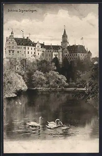 AK Sigmaringen, Schloss Sigmaringen mit Schwanenteich