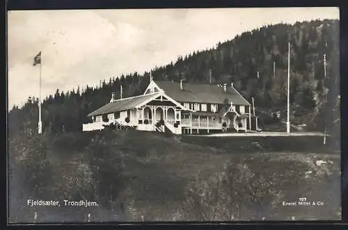 AK Fjeldsaeter /Trondhjem, Gebäude am Berg