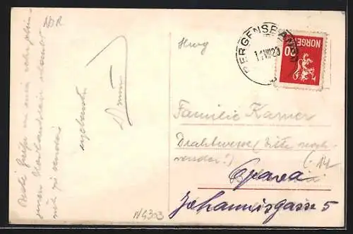 AK Fjeldsaeter /Trondhjem, Gebäude am Berg