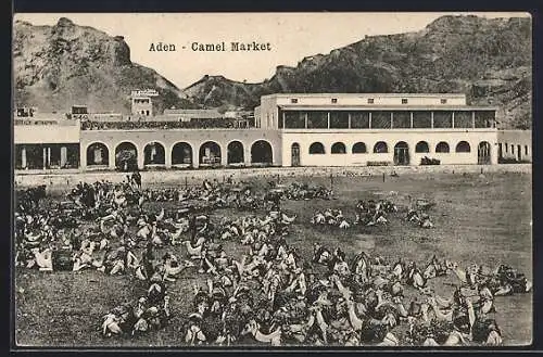 AK Aden, Camel Market