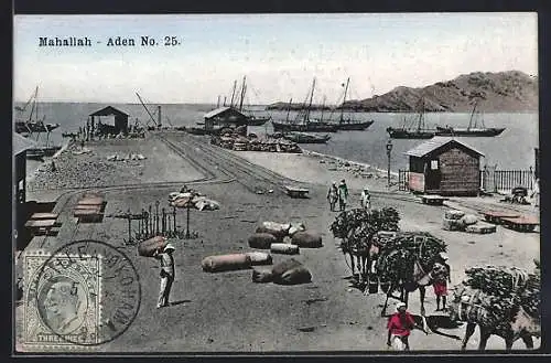 AK Aden, Maala View of Wharf, schwer beladene Kamele im Hafen