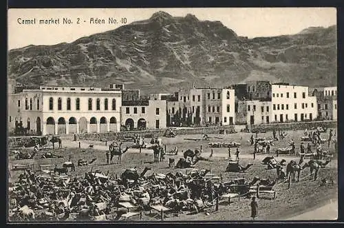 AK Aden, Camel Market