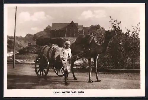 AK Aden, Camel Water Cart, Kamelgespann