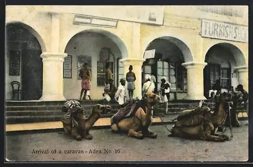 AK Aden, Arrival of a Carravan, Kamele vor dem Turkish-Shop