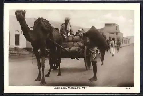 AK Maala Load Camels and Cart, arabische Männer mit Kamel-Gespann