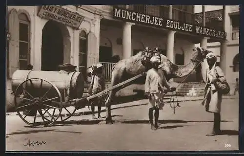 AK Aden, Strassenszene mit Kamel-Wasserwagen