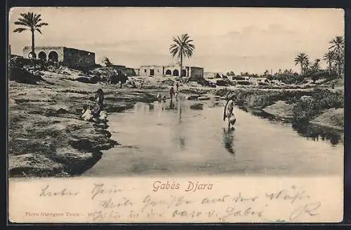 AK Gabès, Djara, Vue panoramique